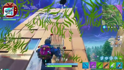 Falling inside Solid Land - FORTNITE Epic Funny Moments #45