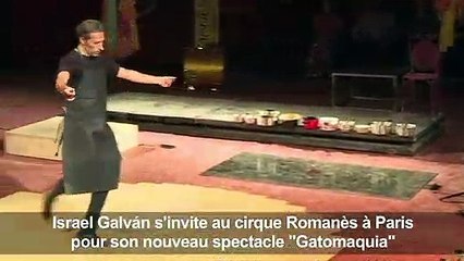 Israel Galvan, du flamenco et des chats dans "Gatomaquia"