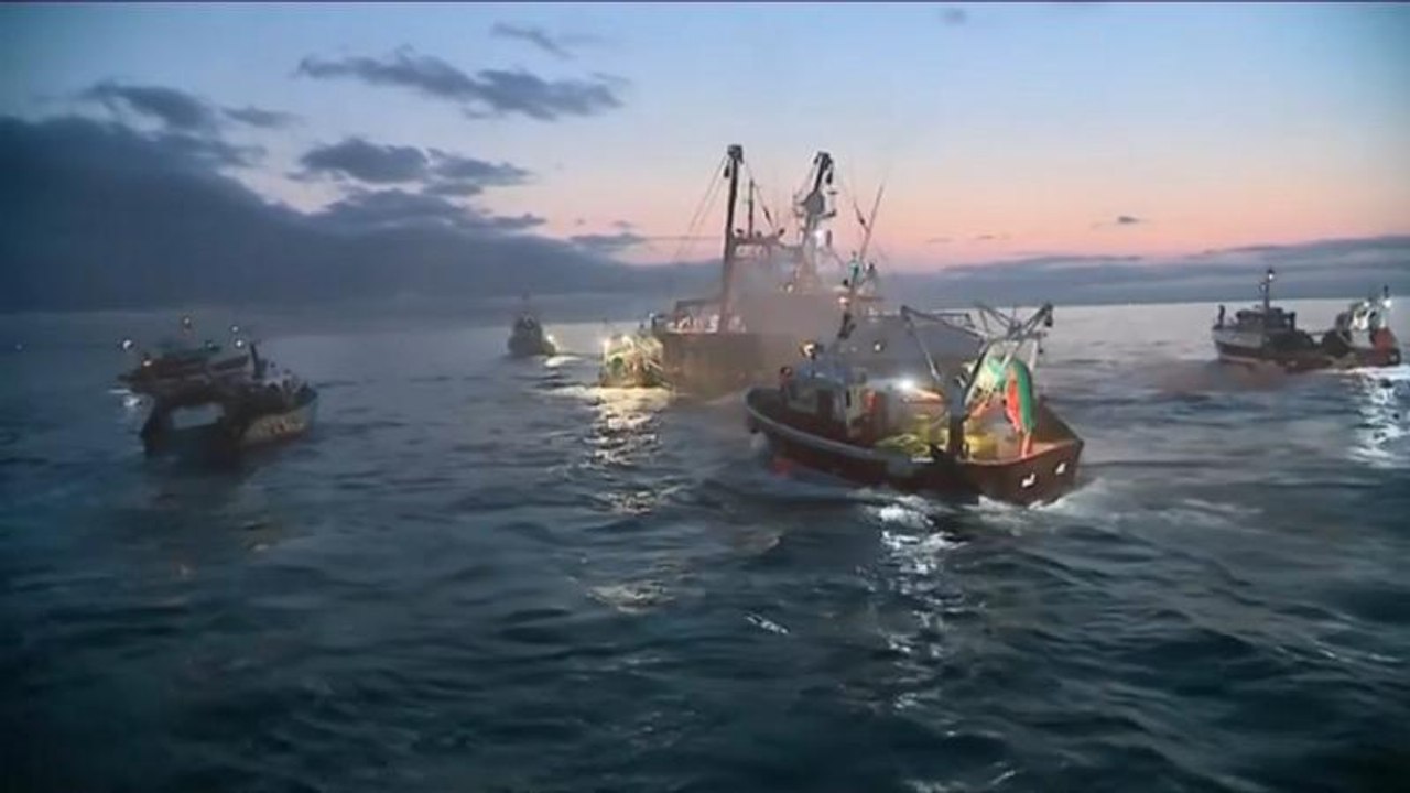 Coquilles Saint-Jacques : rupture des négociations entre Français et Britanniques