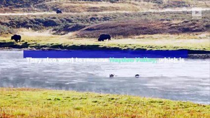 Native Americans Want Yellowstone Landmark Names Changed