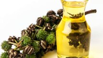 Castor Oil Remedy For 24 Diseases: Highly Effective Against Allergies And Back Pain !