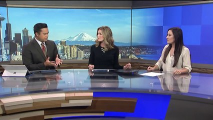 Experts Prepare Plan to Capture Ill Orca J50 as Last Alternative