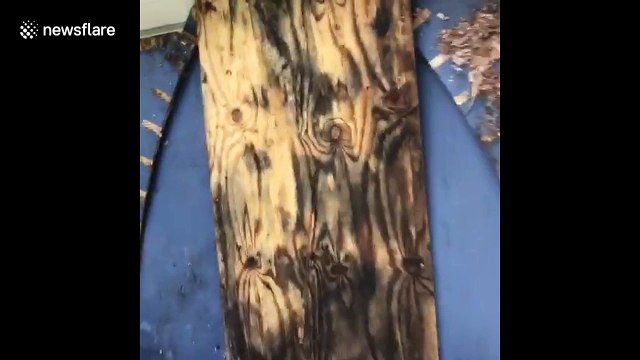 Wilmington, North Carolina resident boards up house ahead of Hurricane Florence landfall