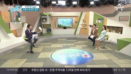 '종합 부동산 대책', 오늘 발표 예정