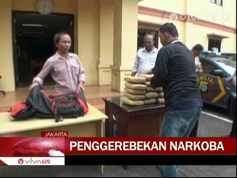 24 Kg Ganja Kering Disita dari Pengedar