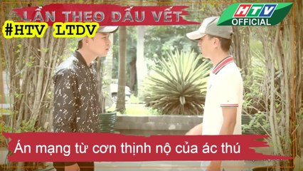 LẦN THEO DẤU VẾT ★ Án mạng từ cơn thịnh nộ của ác thú #HTV LTDV