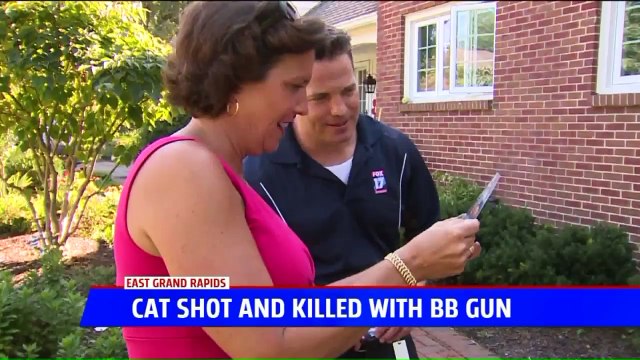 30-Year-Old Cat Dies After Being Shot with BB Gun
