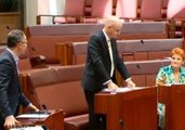 Senators Pauline Hanson and Richard Di Natale Battle Over Proposed Burqa and Niqab Ban