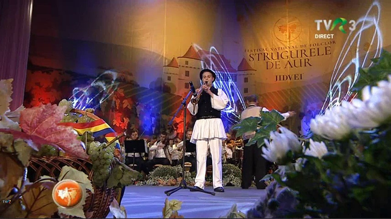 Constantin Foamete - Festivalul „Strugurele de aur” - TVR 3 - 06.09.2018