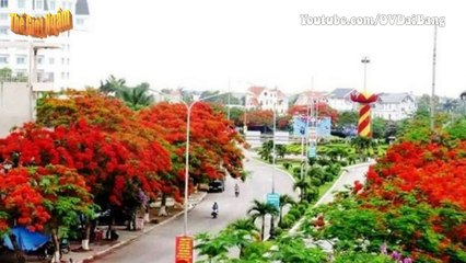 Bắt trùm ma túy trong vỏ bọc quản lý quán cà phê