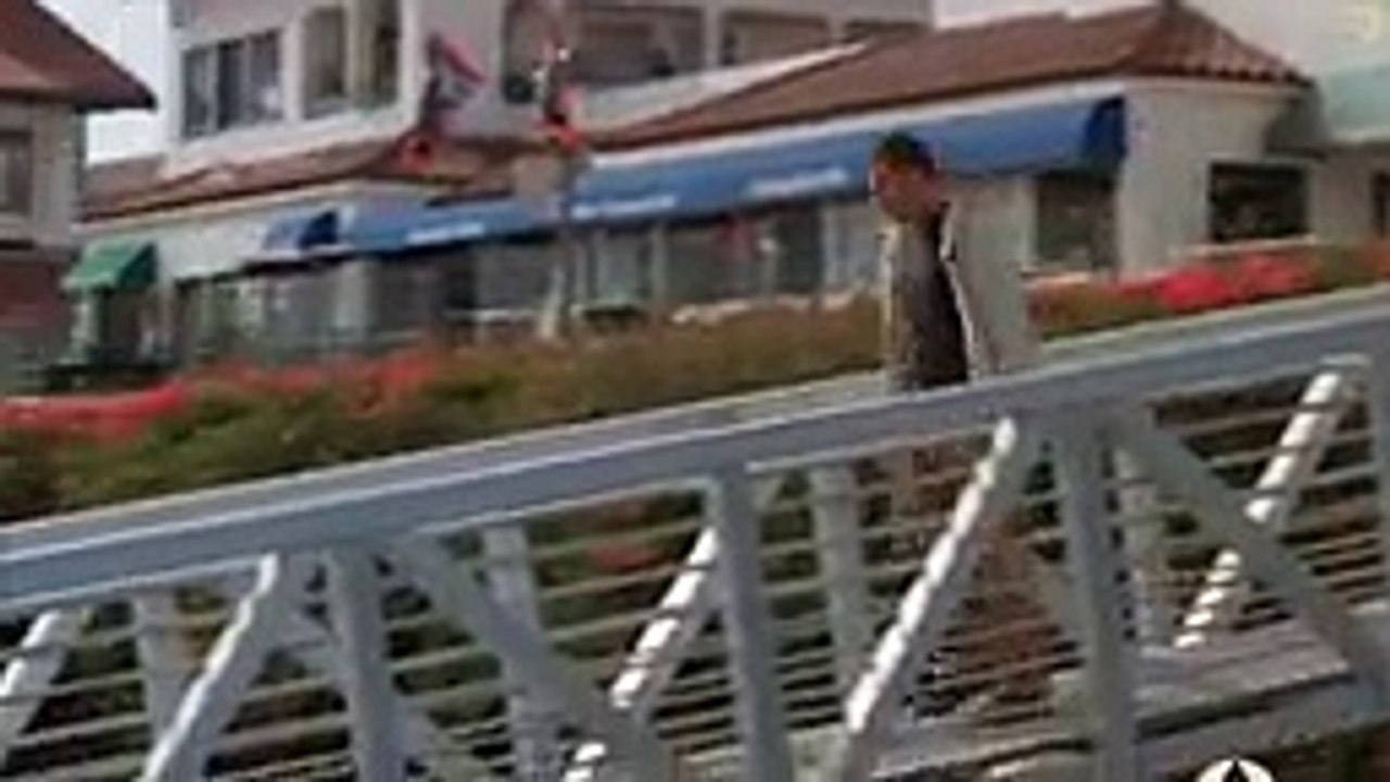 Alerta tiburones Peliculas Completas en español Latino 2018 Parte 2