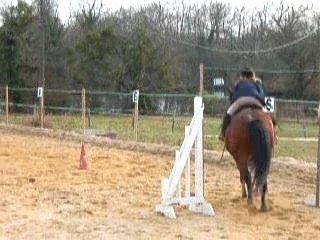 moi sur gringo, carriere