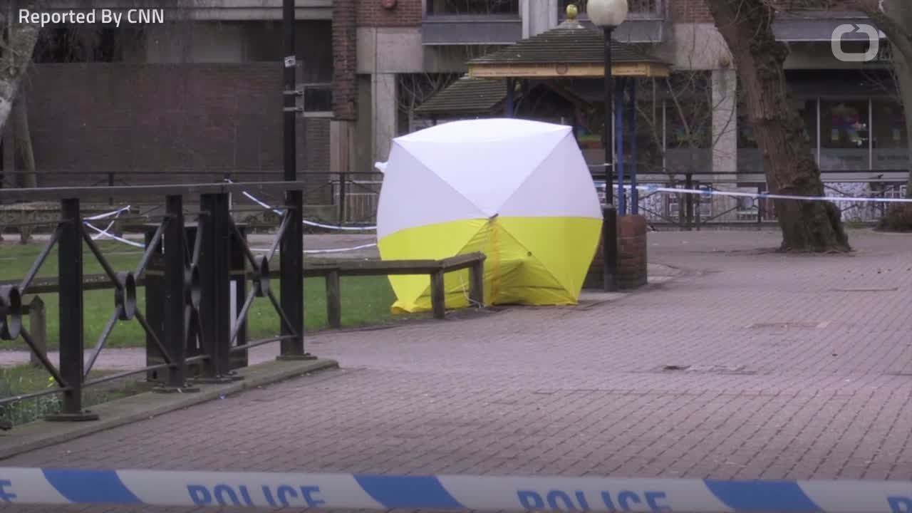 Putin: Poison Suspects Are Not Criminals