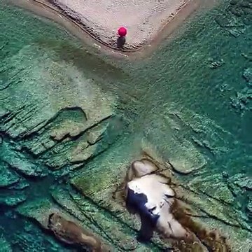 With more than 550km of magical coastline beaches in Halkidiki, it would be easy for some beaches to be overlooked. Not Kakoudia beach… ️ #DiscoverGreece #Visi