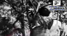 EK GAON KI KAHANI Classic Matinee Hindi Movie Part 1/2 ☸☸☸ (82) ☸☸☸ Mera Big Classic Matinee Movies