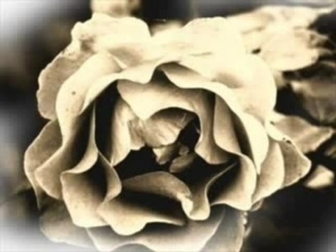 Nelly Feat. Niks - Kysno E Za Lubov