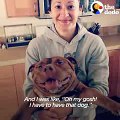 Happy Pit Bull Dog Loves It When His Dad Babies Him  The Dodo Pittie Nation