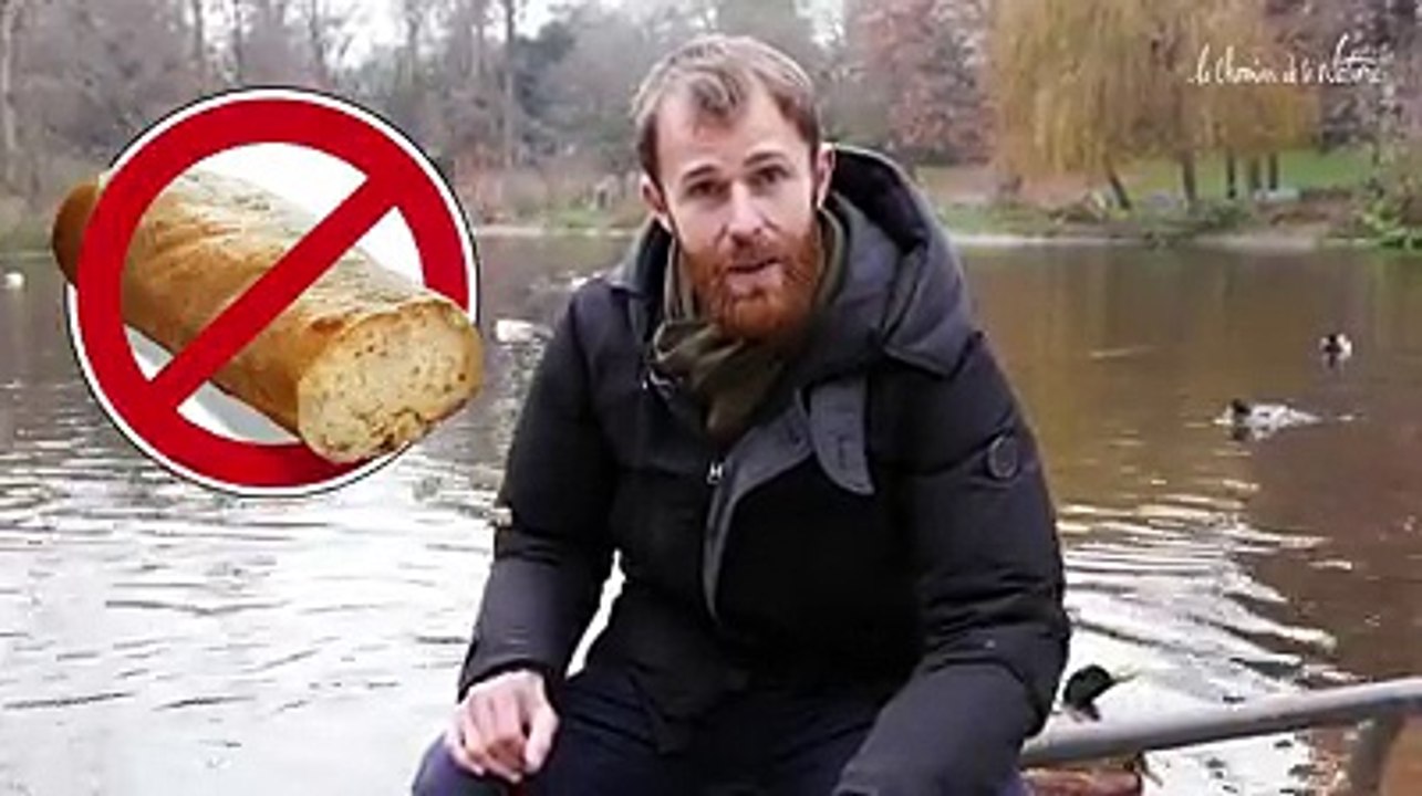 Le pain rend malade les canards