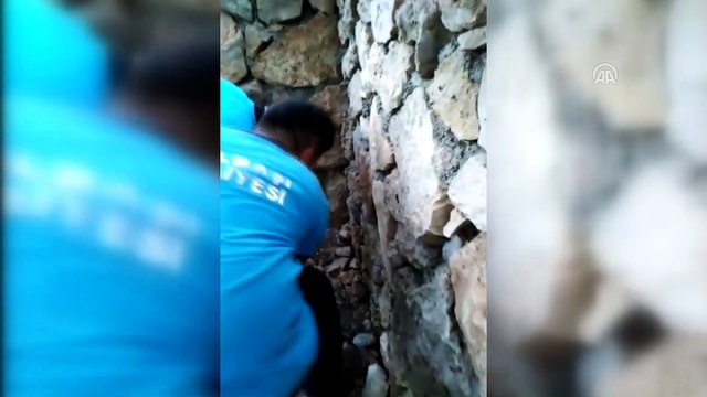 Duvar arasına sıkışan yavru kedi kurtarıldı - ADIYAMAN