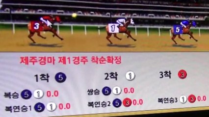 "35개 파 조폭 연루"...2천억 '불법 경마' 적발 / YTN