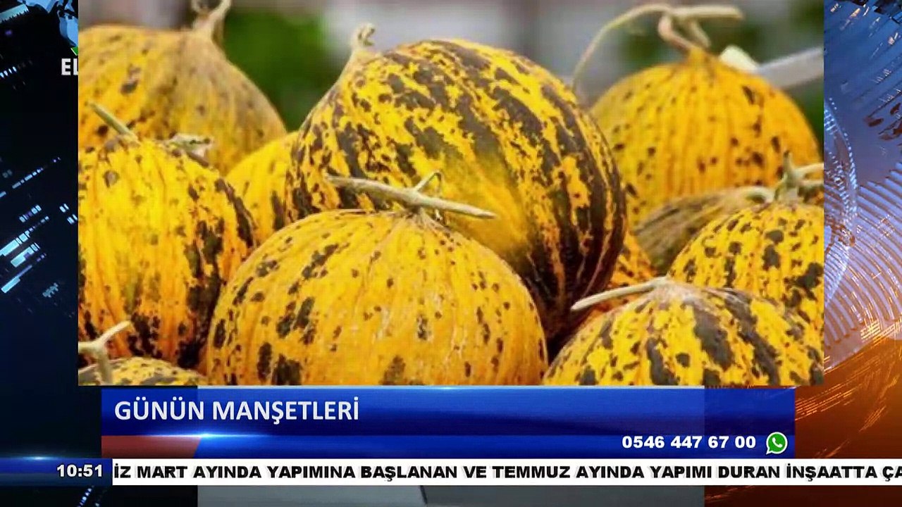 Kabak mı dikeceksiniz  ?