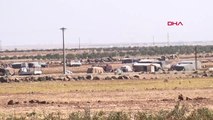 Suriye Bombardımandan Kaçanlar Tarla ve Boş Arazilerde Çadır Kuruyor