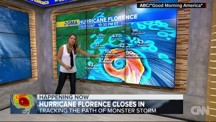 Wild horses ride out the storm