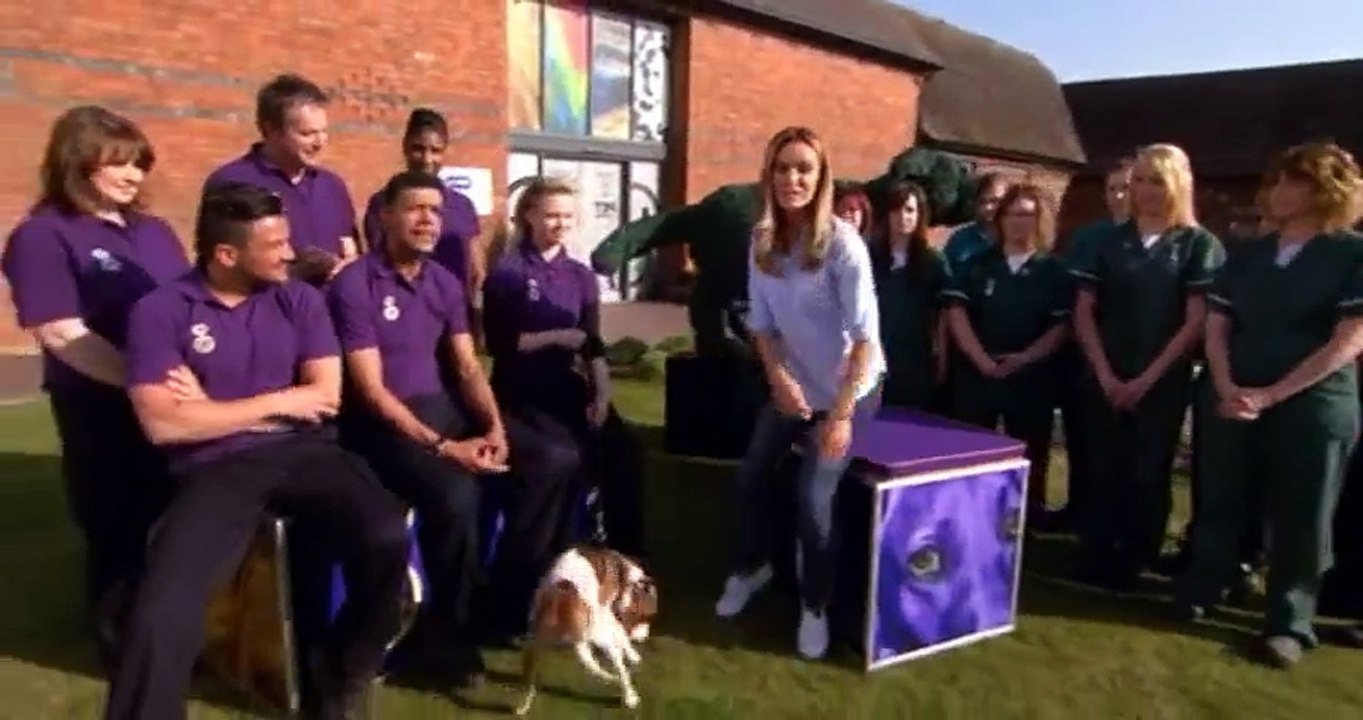 Give a Pet a Home S01 - Ep02  2 HD Watch