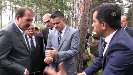 Bitkisel orman atıkları enerji ve gübreye dönüşecek - ESKİŞEHİR