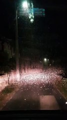 Des papillons envahissent un village (Ain)