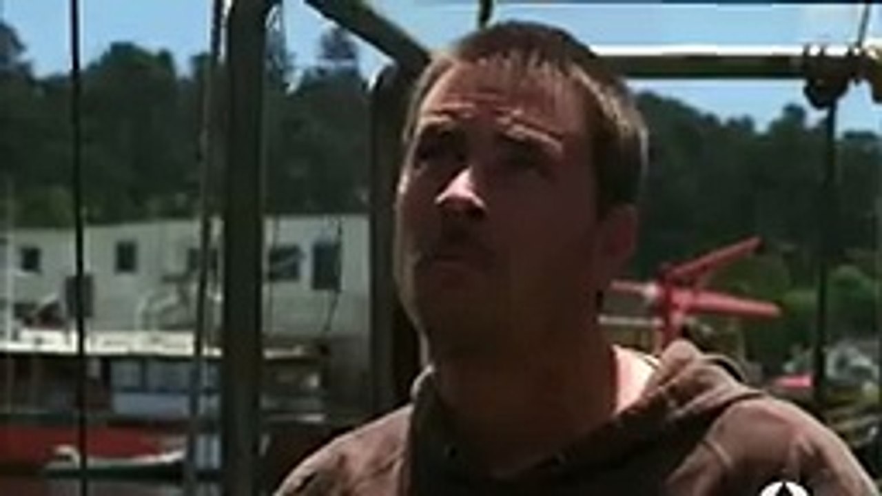 Alerta tiburones Peliculas Completas en español Latino 2018 Parte 3