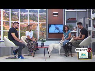 Report TV - Miqtë me 4 putra në 'Rreze Dielli', ja disa këshilla si të kujdesemi për ta