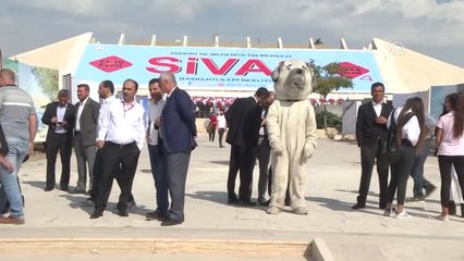 Sivas Günleri - Detaylar