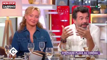 C à vous : Stéphane Plaza en colère contre les critiques de cinéma (vidéo)