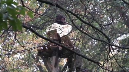 شاهد أنصار البيئة يعيشون على قمم الأشجار منعا من قطعها في ألمانيا