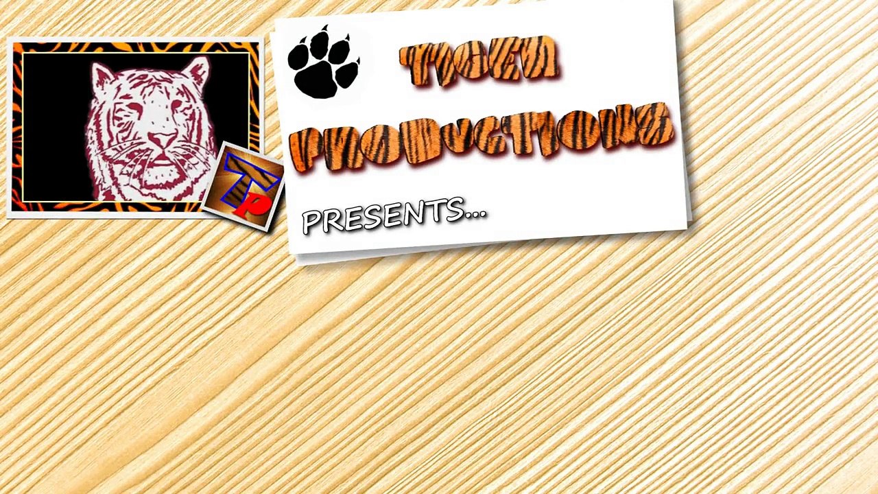 Best FUNNY CAT videos