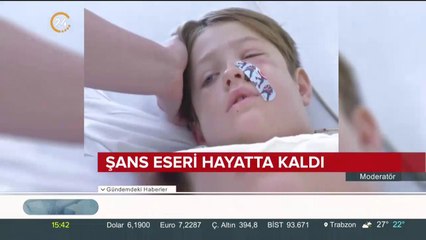 Şans eseri hayatta kaldı