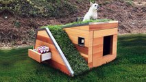 Aux USA, on a imaginé la niche ultime pour les chiens (avec terrasse intégrée)