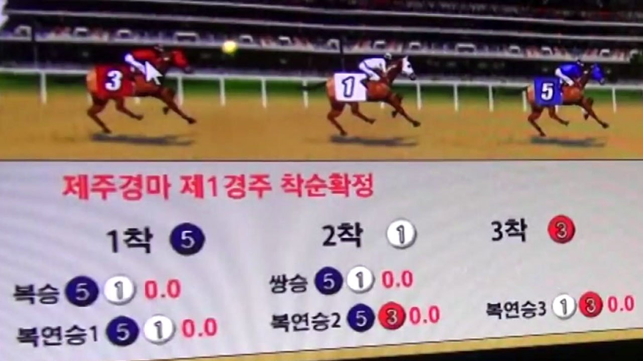 "35개 파 조폭 연루"...2천억 '불법 경마' 적발 / YTN