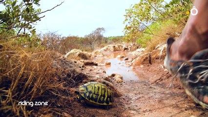 DÉCOUVREZ LES PREMIERES MINUTES DU DÉFI SPECTACULAIRE DE PHILIPPE RIBIERE "LE HANDI SPIDERMAN"