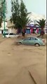 أمطار طوفانية جرفت سيارات في ولاية تبسة