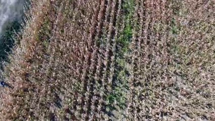 Firari hükümlü 'drone' yardımıyla yakalandı - ÇANAKKALE