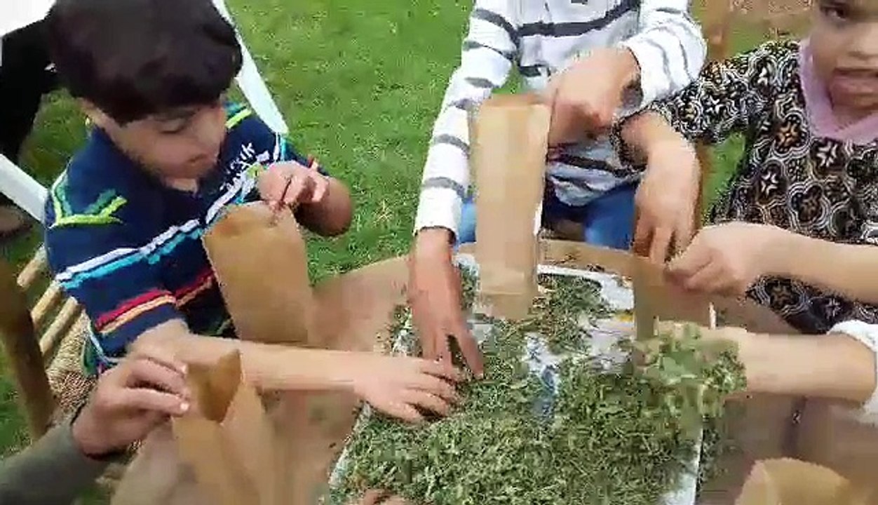 Panorama sur les tables de mise en sachets des plantes aromatiques