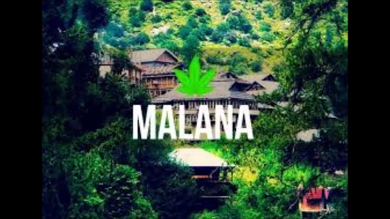 malana facts in hindi