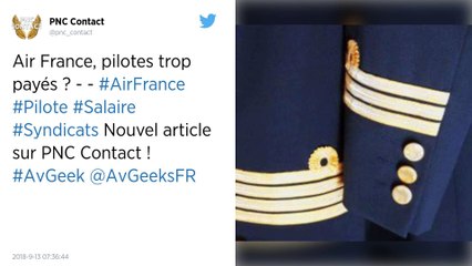 Air France. Cent pilotes de ligne sont payés plus de 300 000 euros par an.