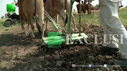 Sterilisation Of Soil | How To Sterilize Soil
