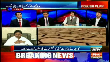 Pakistan has capacity to store water for 30 days only: Salman Khan Niazi