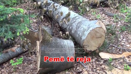 Fiks Fare, 13 Shtator 2018, Pjesa 2 - Investigative Satirical Show