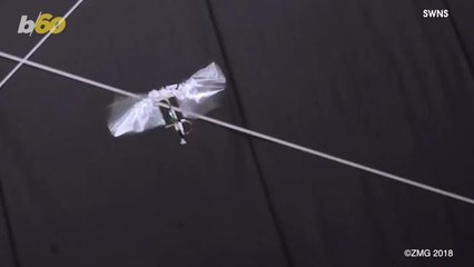 Flying Insect-Like Robot is Now a Reality