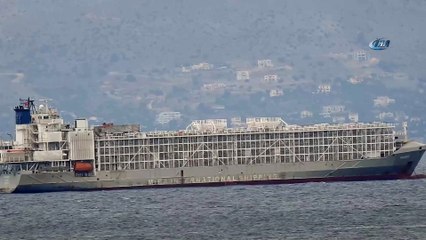 Şarbonlu olduğu iddia edilen gemi hakkında bakanlıktan açıklama